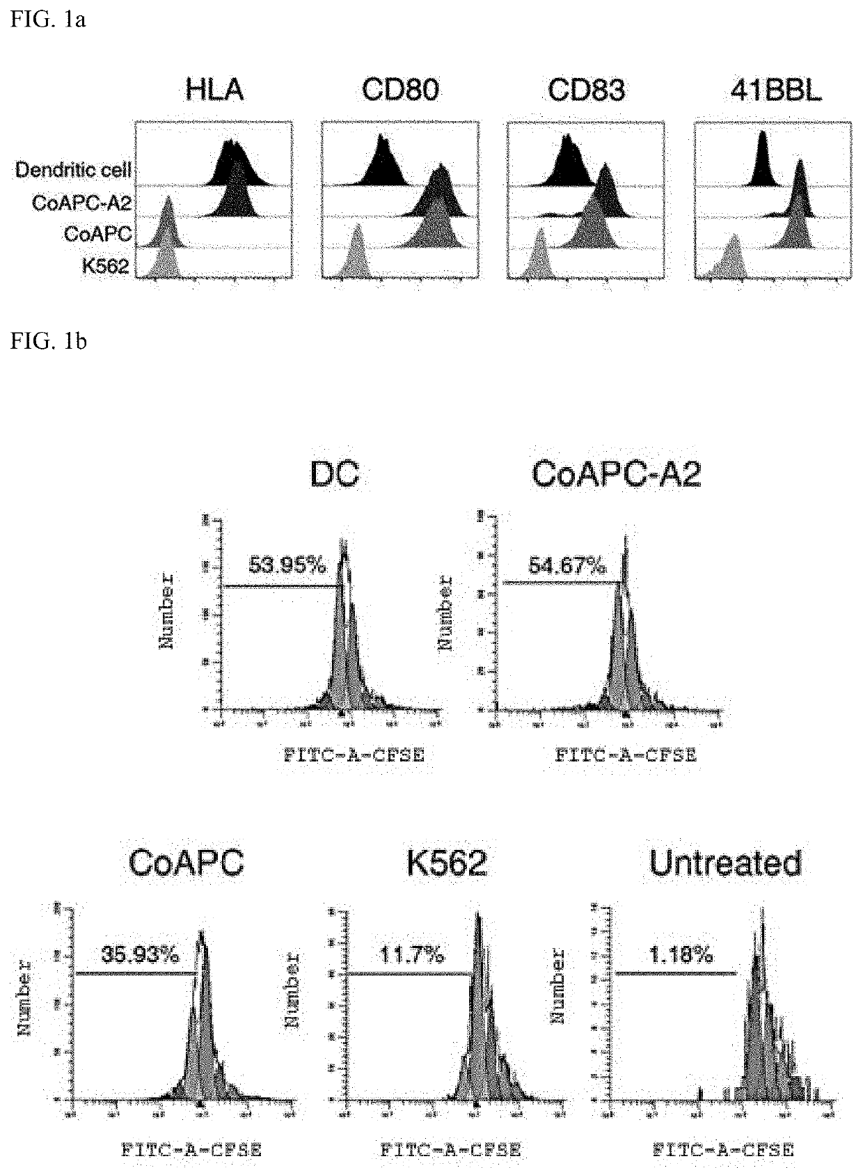 Exosome for stimulating t cell and pharmaceutical use thereof