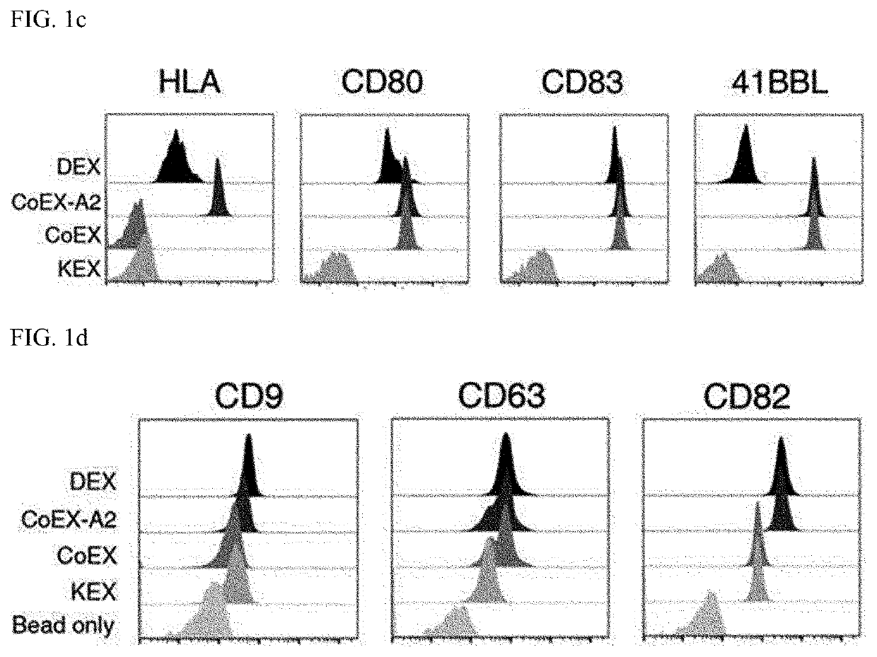 Exosome for stimulating t cell and pharmaceutical use thereof