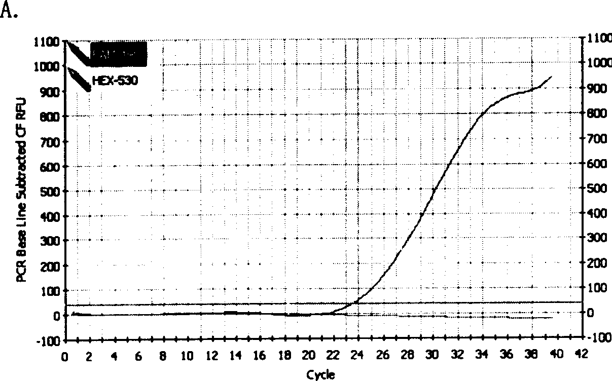 Method for quickly detecting hepatitis B virus drug-resistant gene variation