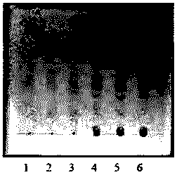 Detection method for cough-suppressing and panting-calming particles