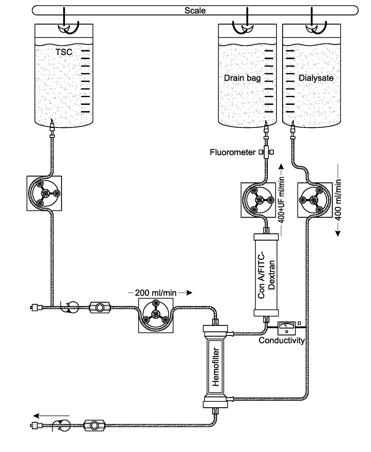 Methods for delivering regional citrate anticoagulation (RCA) during extracorporeal blood treatments