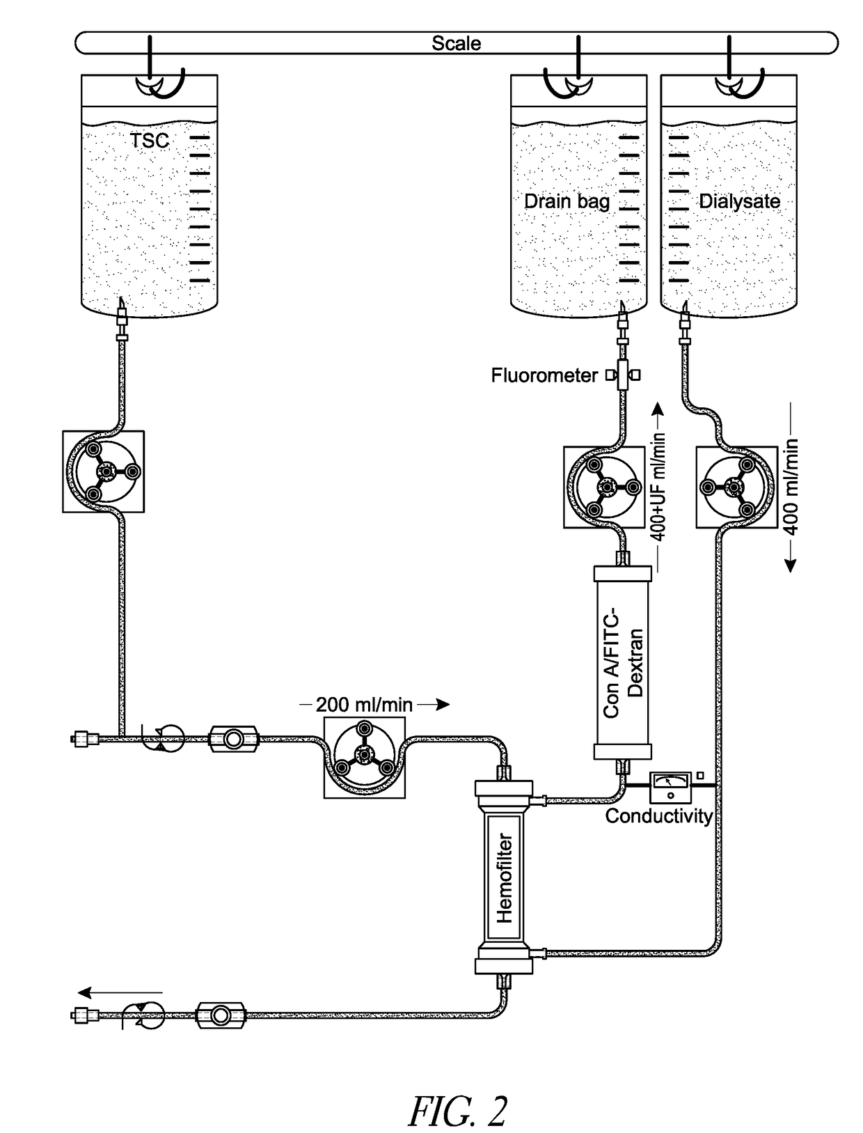 Methods for delivering regional citrate anticoagulation (RCA) during extracorporeal blood treatments