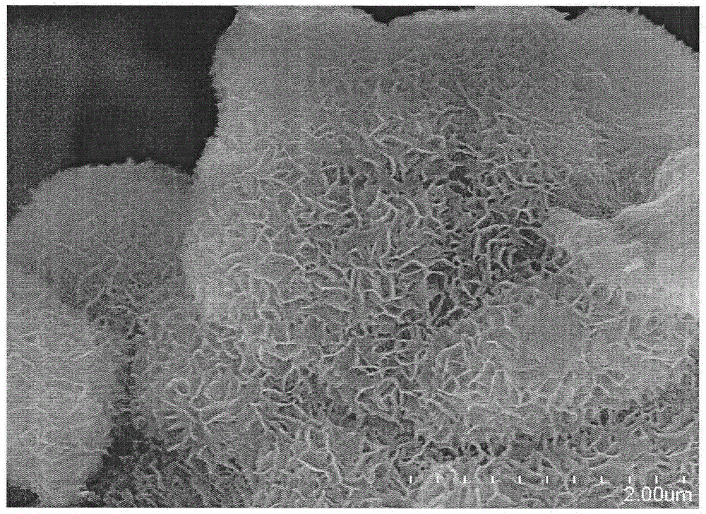 Crystallized mesoporous magnesium silicate powder and preparation method thereof