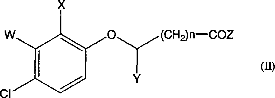 Herbicidal composition