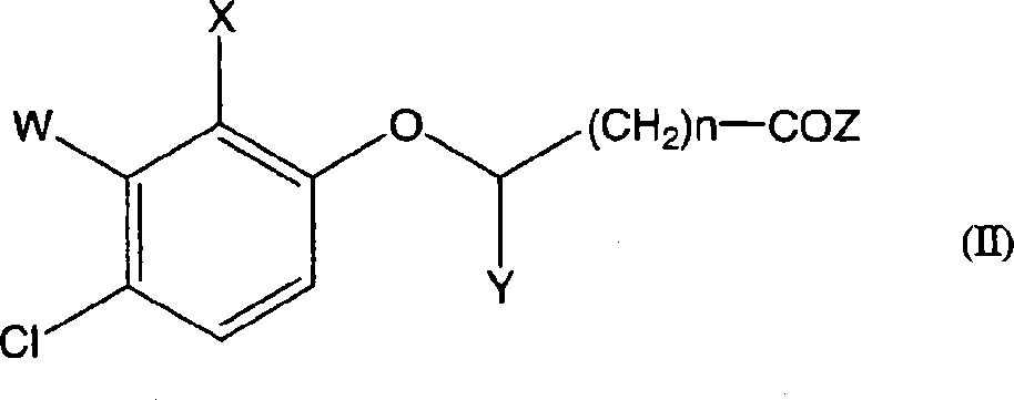 Herbicidal composition