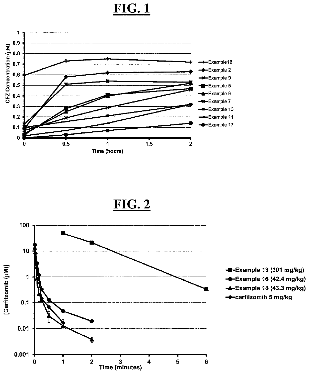 Pegylated carfilzomib compounds