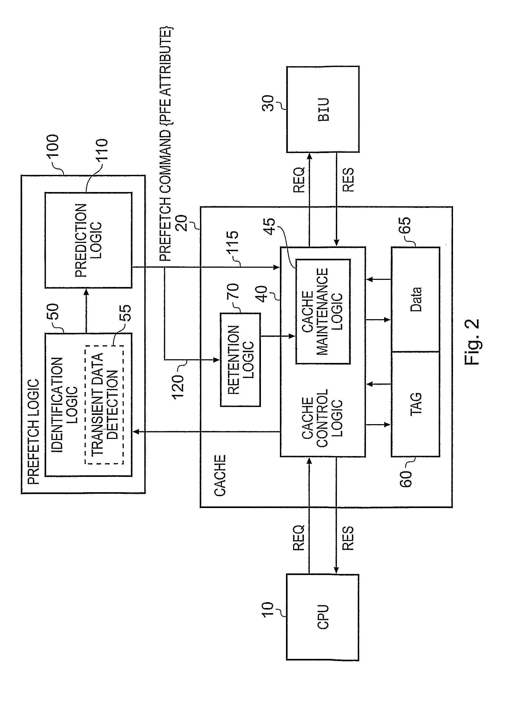 Cache management within a data processing apparatus