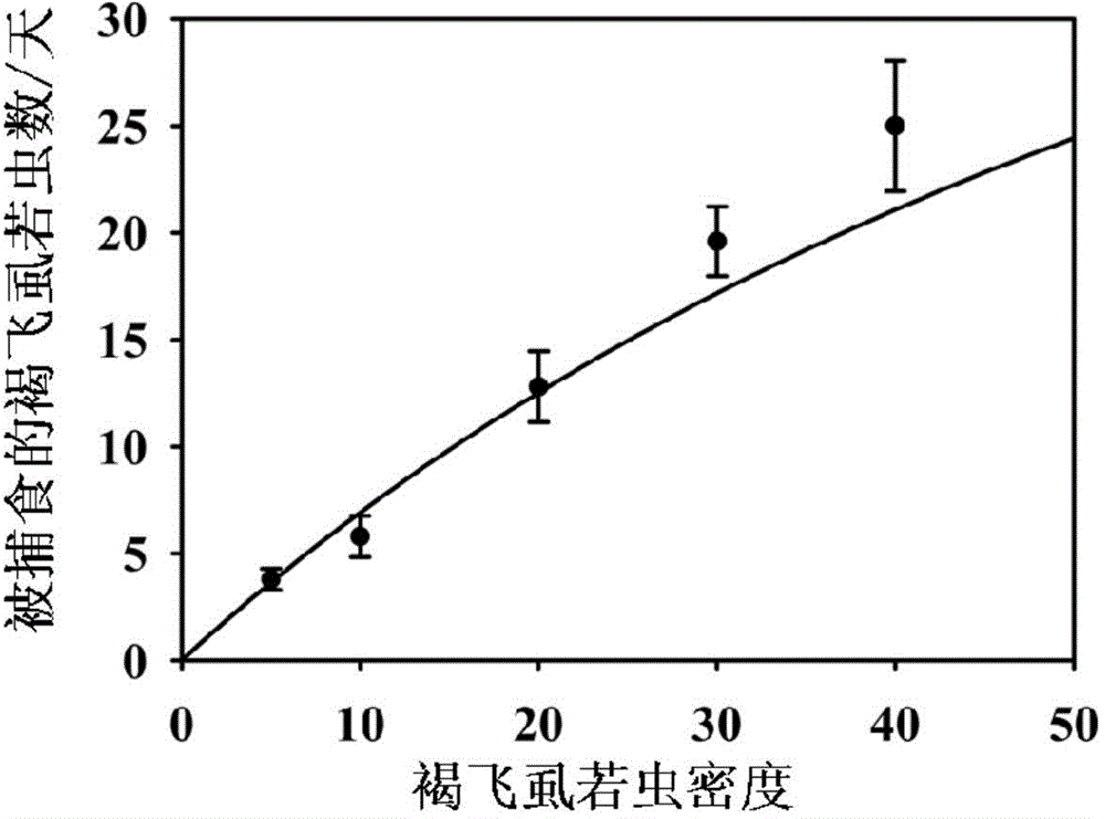 Safety evaluation method of transgenic insect-resistant rice against predatory natural enemy Auranthus praecox