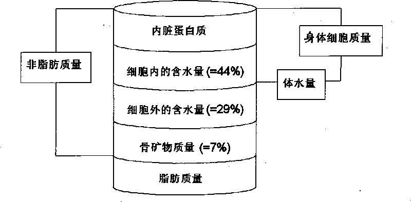 Device and method for measuring biological impedance of multi-limb segment components of human body