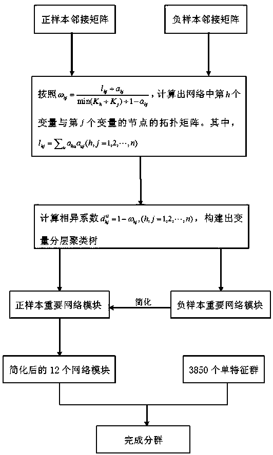 A Grouping Method of Group Lasso Characteristic Based on Network Analysis