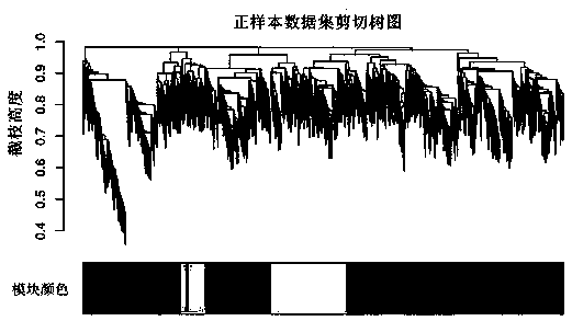 A Grouping Method of Group Lasso Characteristic Based on Network Analysis