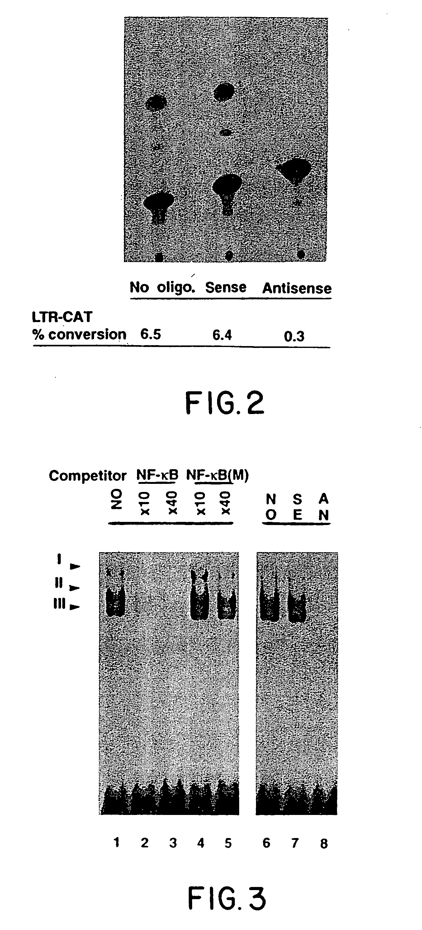 Suppression of nuclear factor-kappaB dependent processes using oligonucleotides