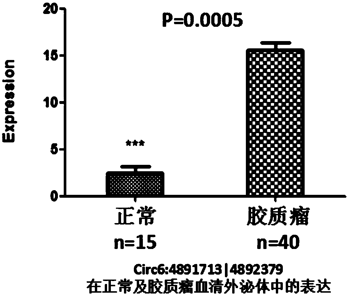 Glioma prognostic marker circ6:4891713|4892379 and applications