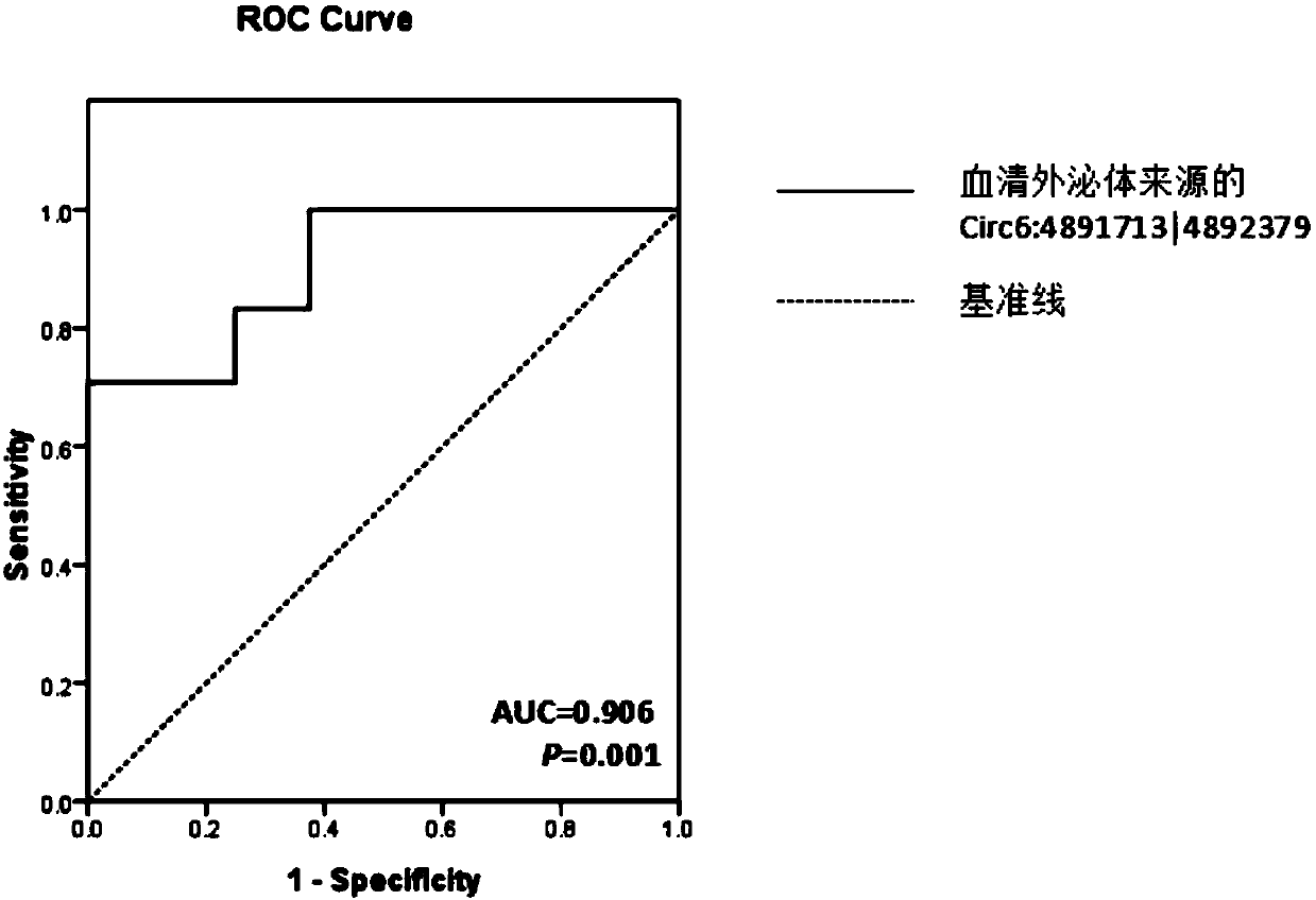 Glioma prognostic marker circ6:4891713|4892379 and applications