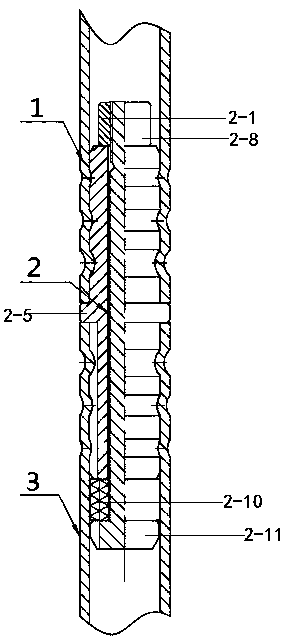 Lifting tool for sheared-off continuous oil tube and using method