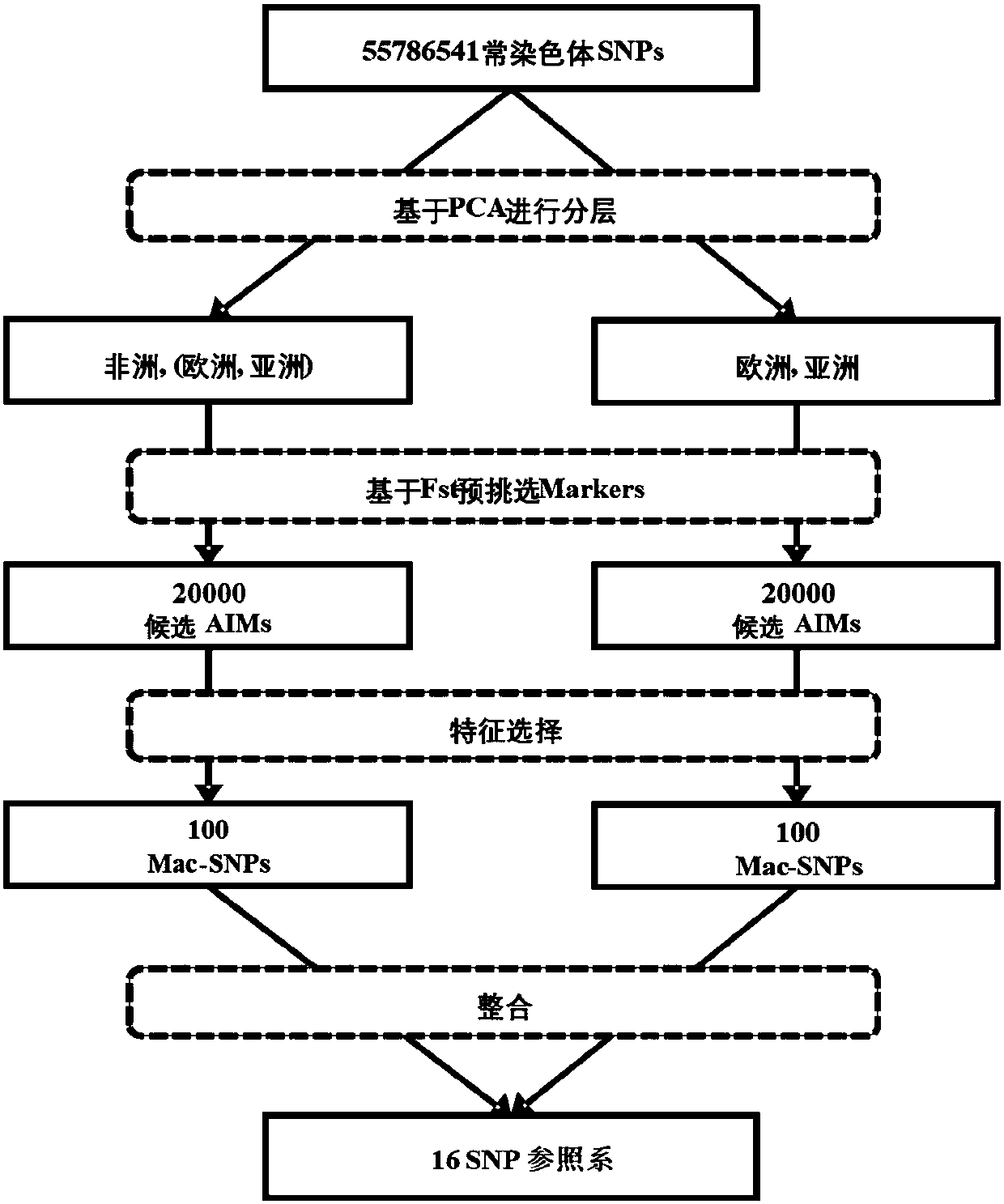 Constructing method of genetic marker reference system for group differentiating and identification, and genetic marker reference system