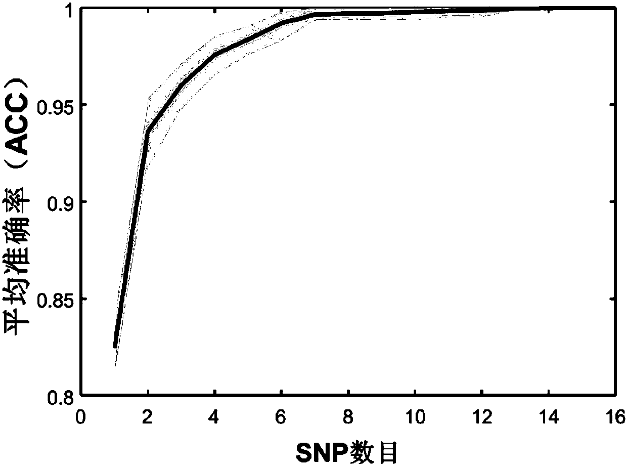 Constructing method of genetic marker reference system for group differentiating and identification, and genetic marker reference system