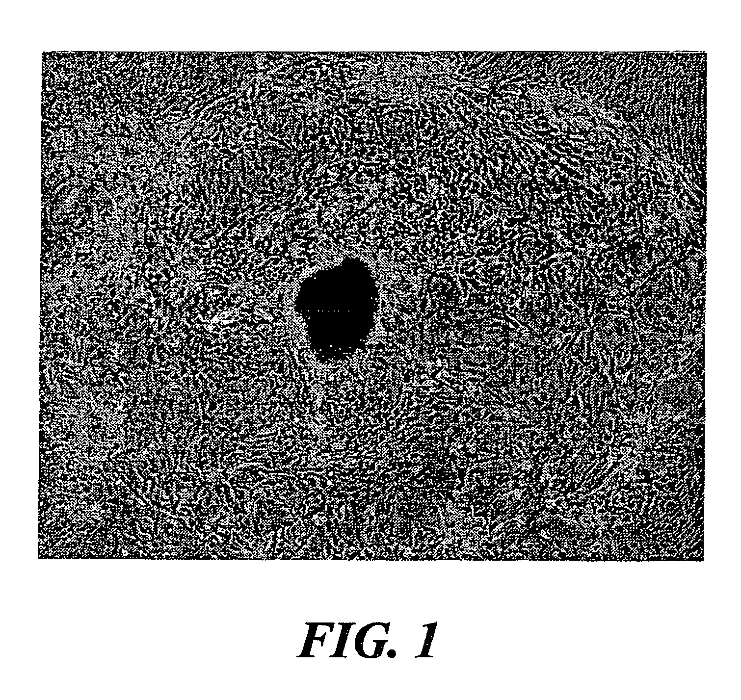 Culture of goblet cells