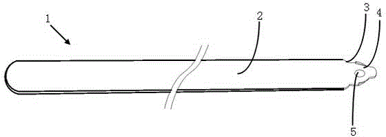 Thermal sensitive ceramic heater and heating body and heating core applied to thermal sensitive ceramic heater