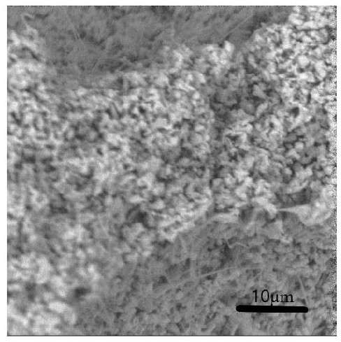 Silicon nitride and silicon carbide combined composite ceramic as well as preparation method and application thereof