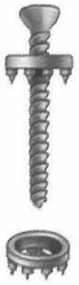 Fixing structure for tibial tuberosity fracture