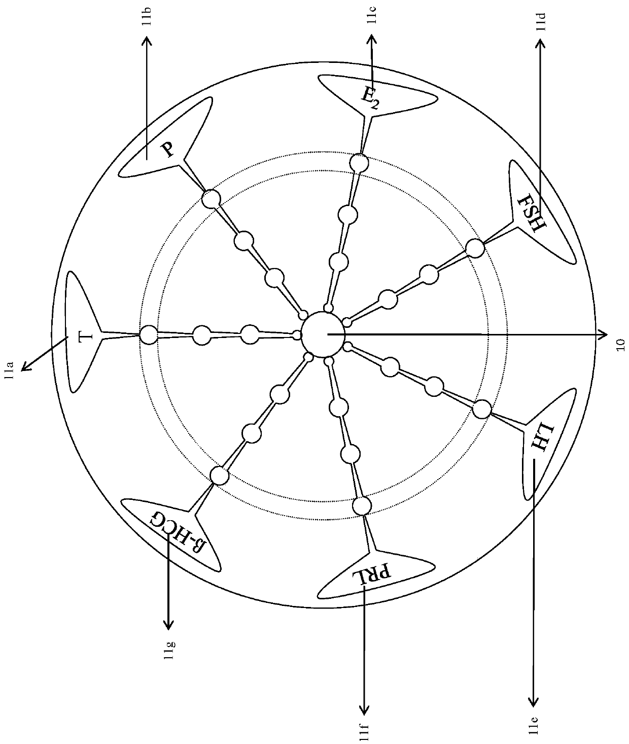 Micro-fluidic chemiluminescence detecting system for magnetic particles for detecting gonad series