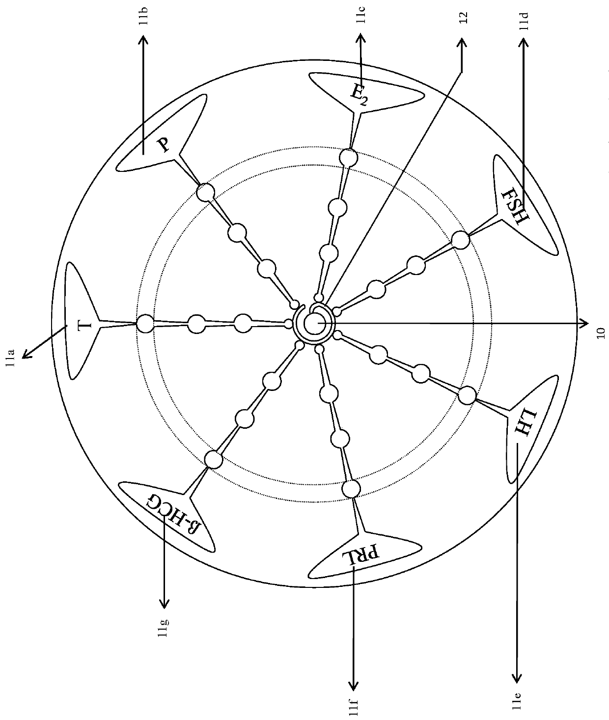 Micro-fluidic chemiluminescence detecting system for magnetic particles for detecting gonad series