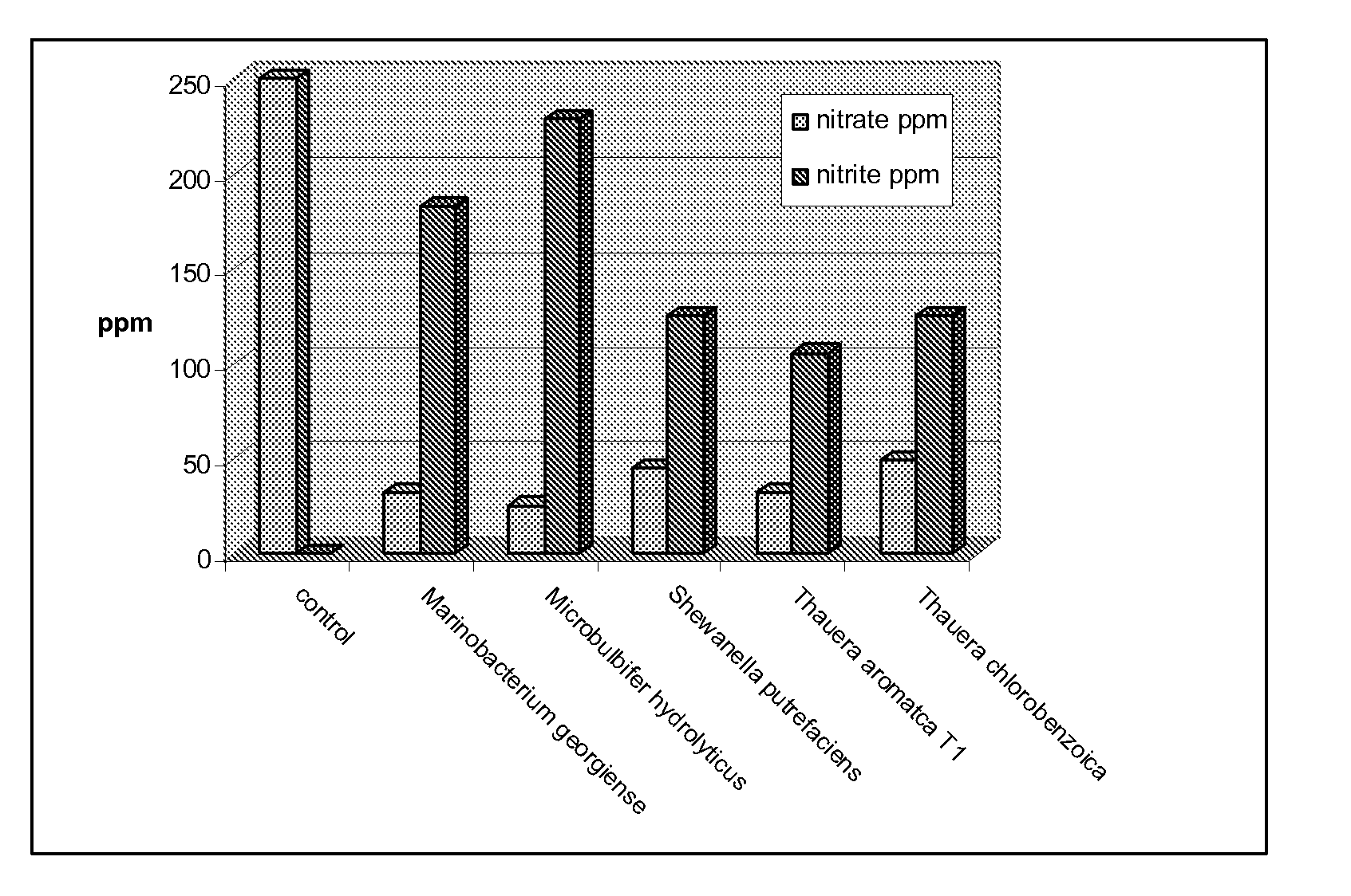 Application of anaerobic denitrifying bacteria utilizing petroleum components as sole carbon source for oil