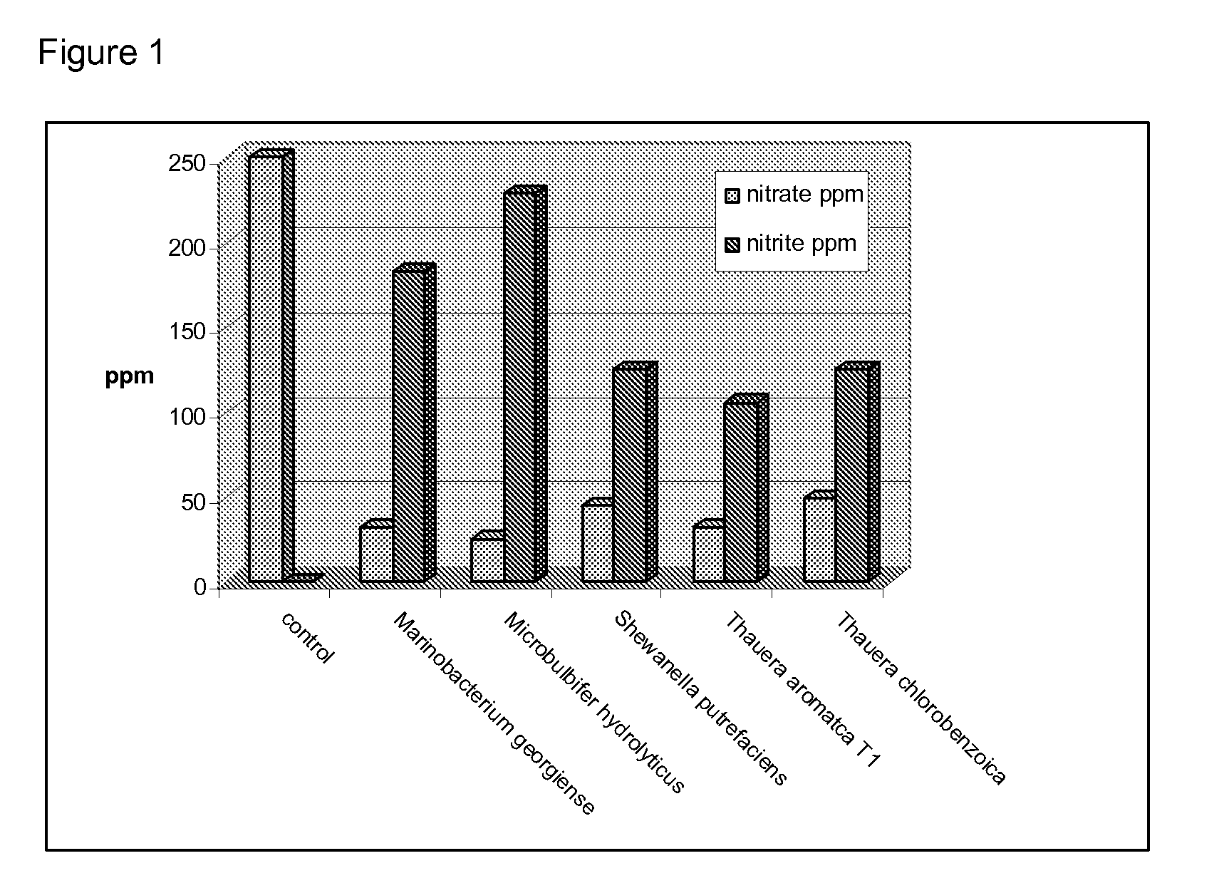 Application of anaerobic denitrifying bacteria utilizing petroleum components as sole carbon source for oil