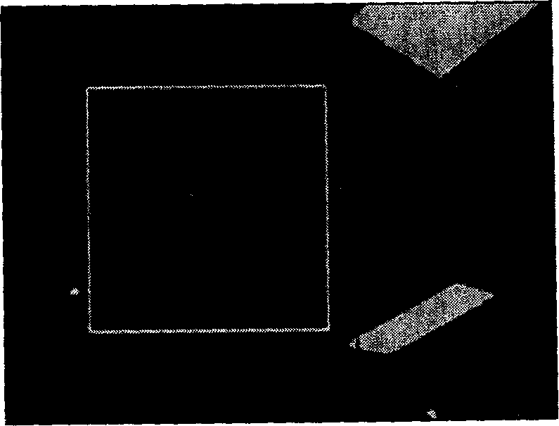 Method and system of real time detecting and continuous tracing human face in video frequency sequence