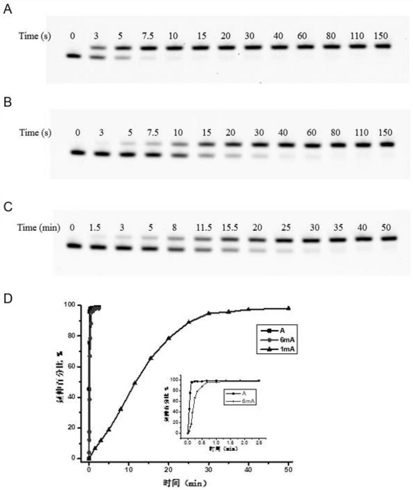 A method for detecting the methylation modification at N6 or N1 position of adenine in nucleic acid by using dutp or dttp