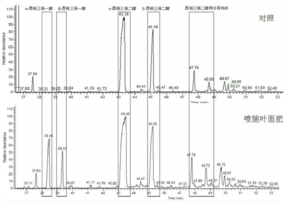 Tobacco glandular hair development regulator, tobacco upper leaf growth promoting and secretion increasing leaf fertilizer and preparation and application of tobacco upper leaf growth promoting and secretion increasing leaf fertilizer