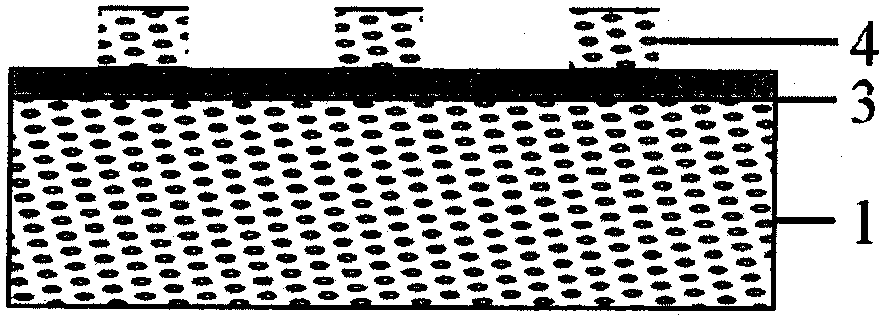 Method of manufacturing ZnO strip waveguide by carbon ion beam irradiation