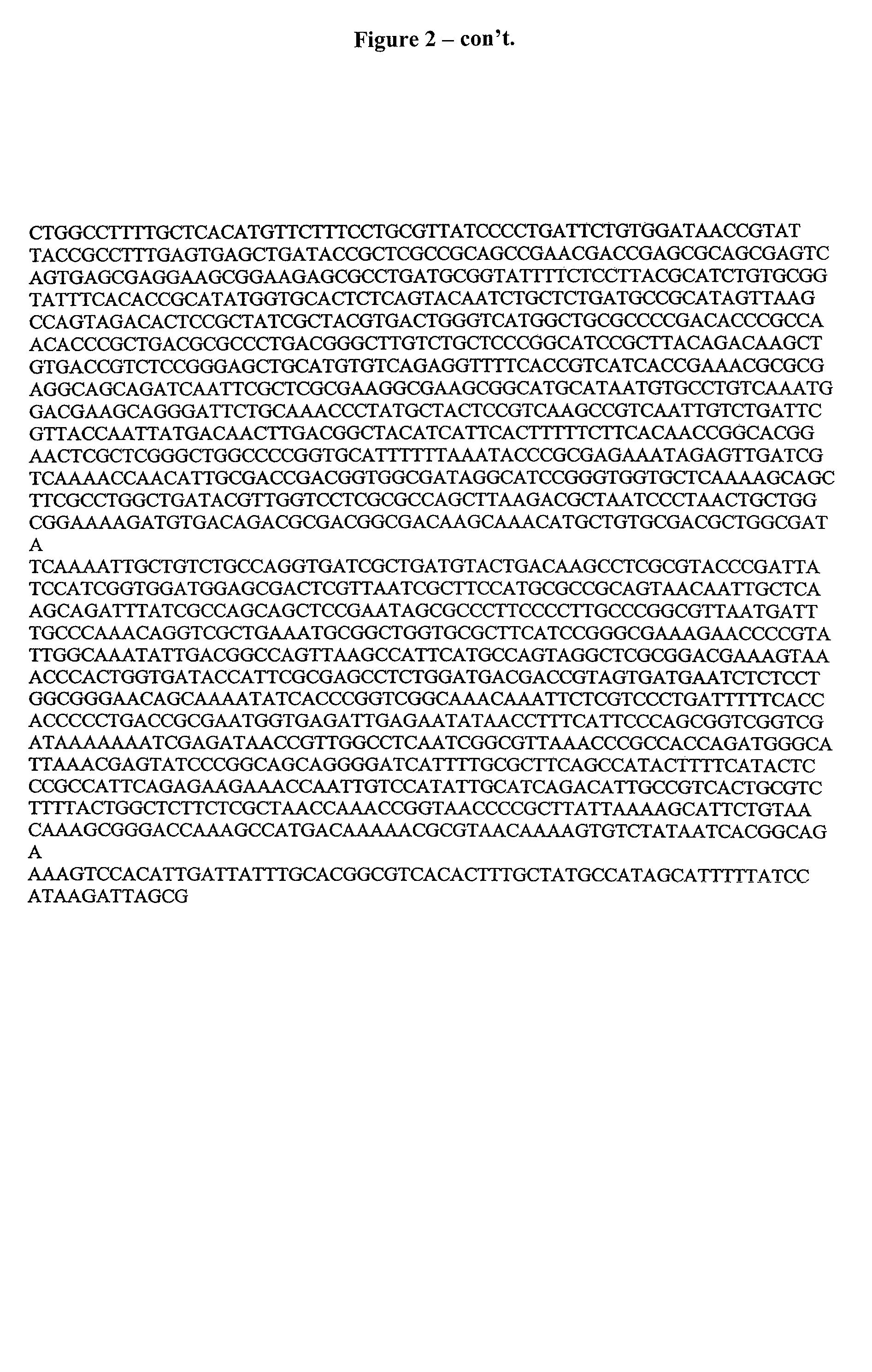 Antibody specificity transfer using minimal essential binding determinants