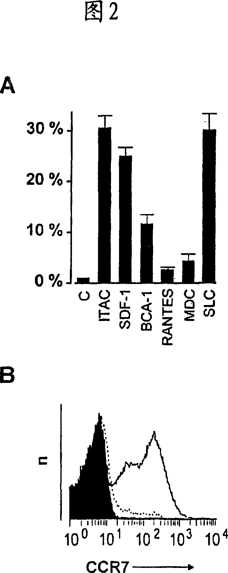 Preparation of antigen-presenting human gamma delta t cells and use in immunotherapy