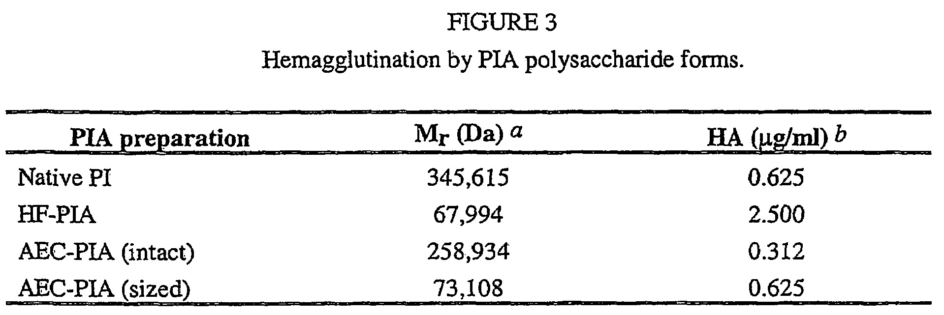 Staphylococcus aureus exopolysaccharide and process