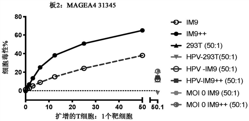 Chimeric antigen receptor with MAGE-A4 specificity and application thereof