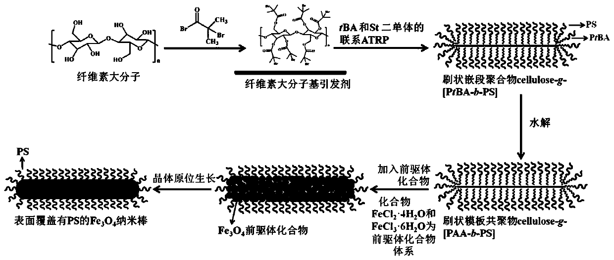 Preparation method capable of preparing superparamagnetic Fe3O4 nanorod with controllable size and dispersity in large scale