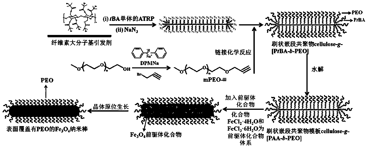 Preparation method capable of preparing superparamagnetic Fe3O4 nanorod with controllable size and dispersity in large scale