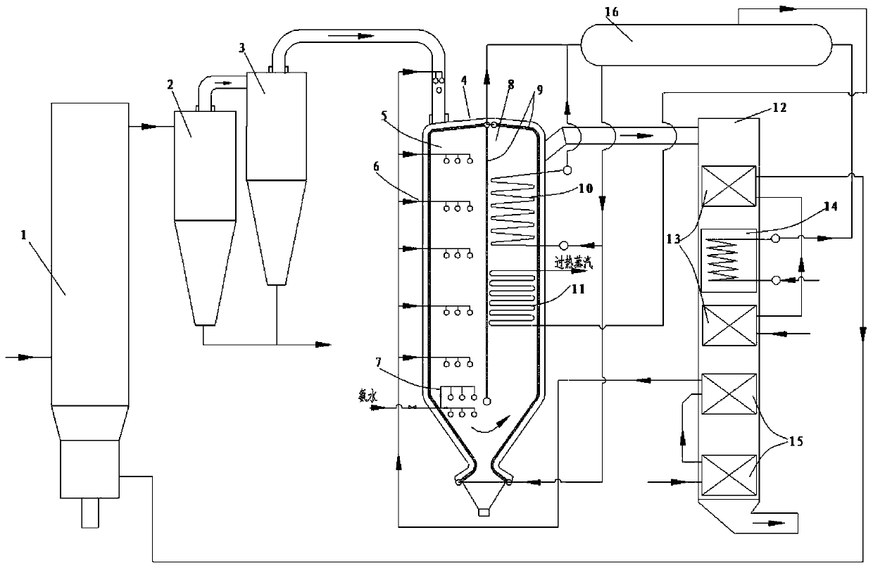 System and method for coal particle and steam co-production of biomass