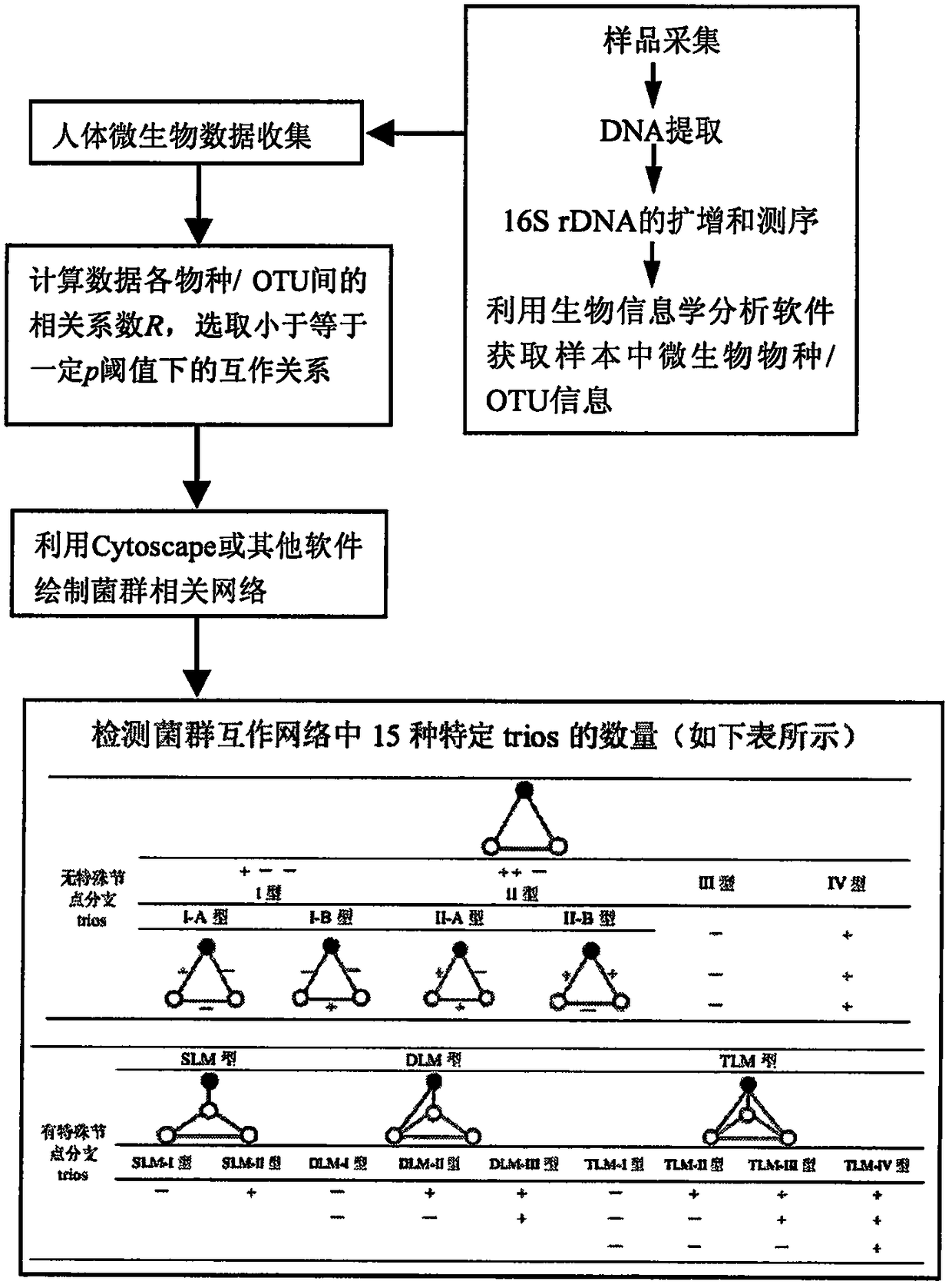 Method for humanbody health assessment anddiseasediagnosis based on human body flora interaction network analysis