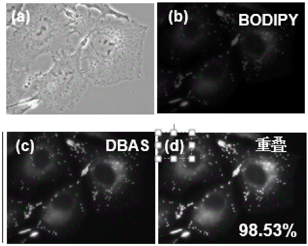 Arylsalicylaldehyde-diphenyl-azine hydrazine compound as well as preparation and application