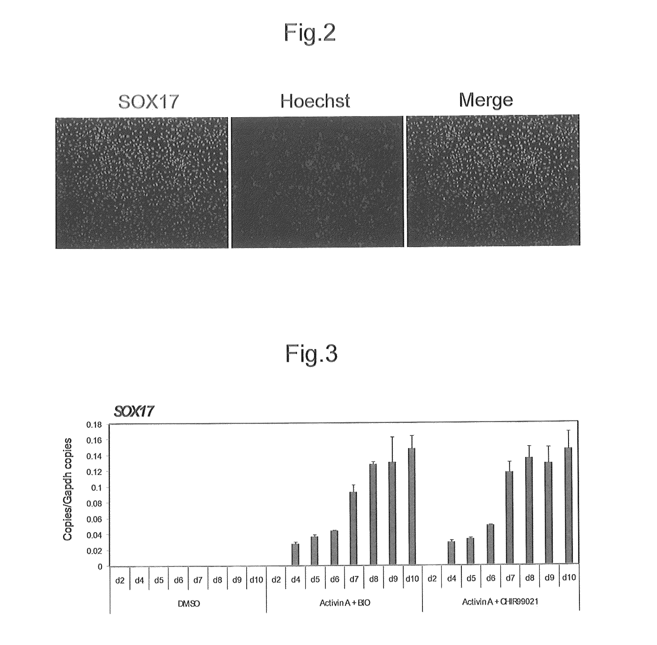 Method of producing pancreatic hormone-producing cells