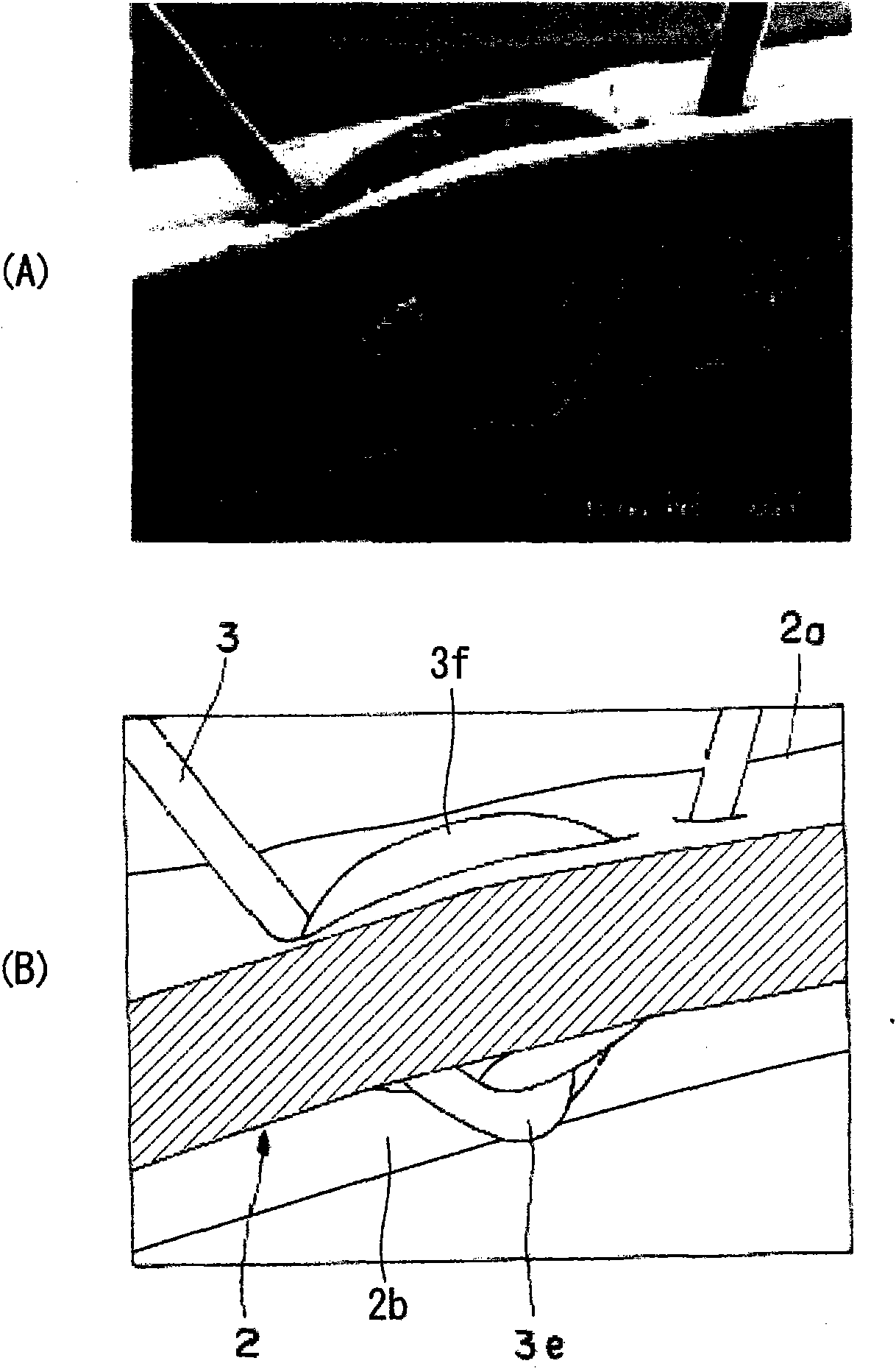 Wig, and its manufacturing method