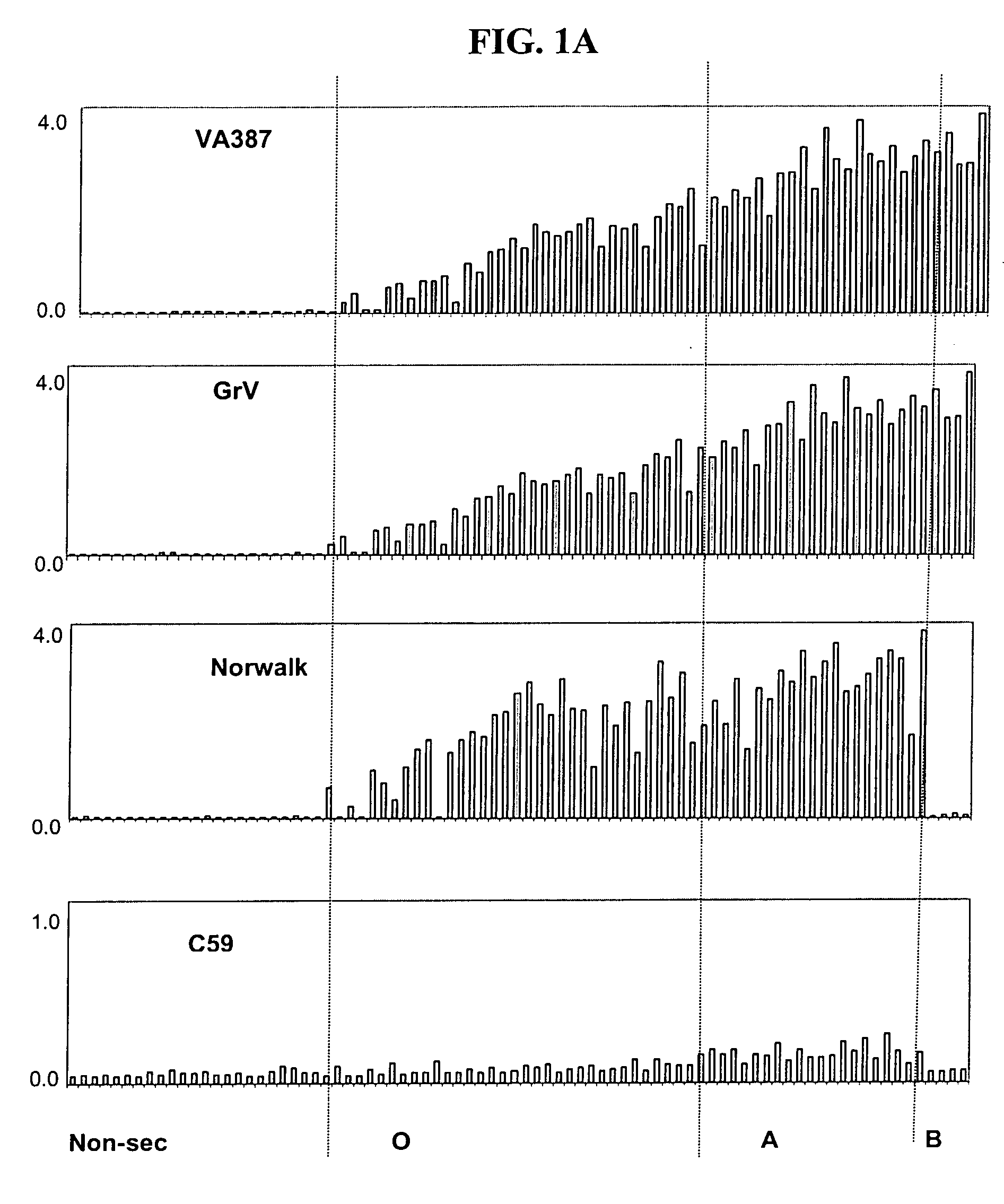 Antigenic binding patterns of norovirus to human histo-blood group antigens