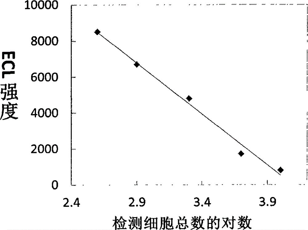 Electrogenerated chemiluminescence sensor with high sensitivity in cancer cell detection and fabrication method of sensor