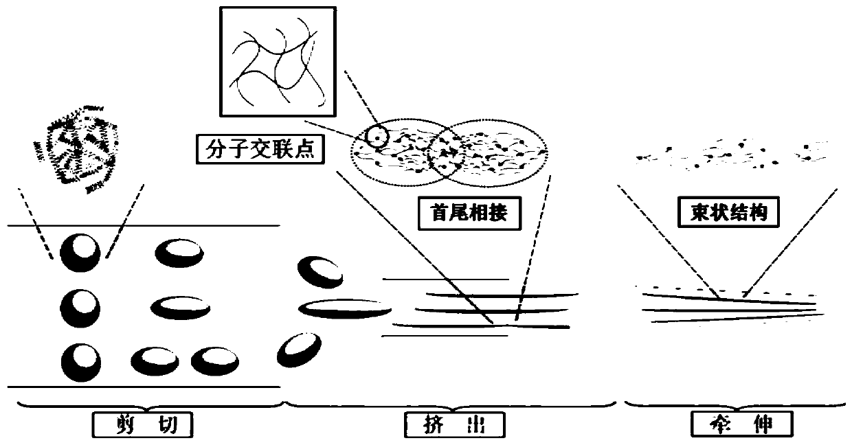 A kind of preparation method of cross-linked structure orientation filling reinforced chemical fiber