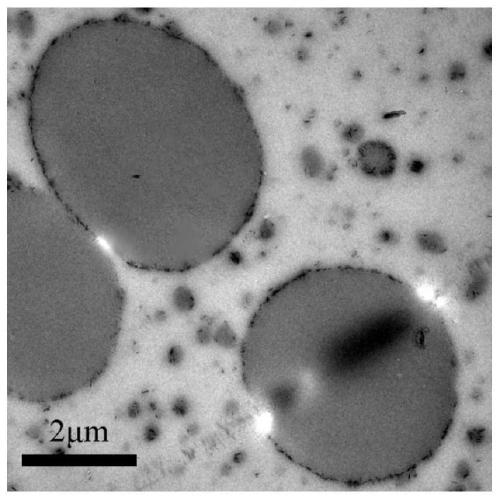 A kind of preparation method of cross-linked structure orientation filling reinforced chemical fiber