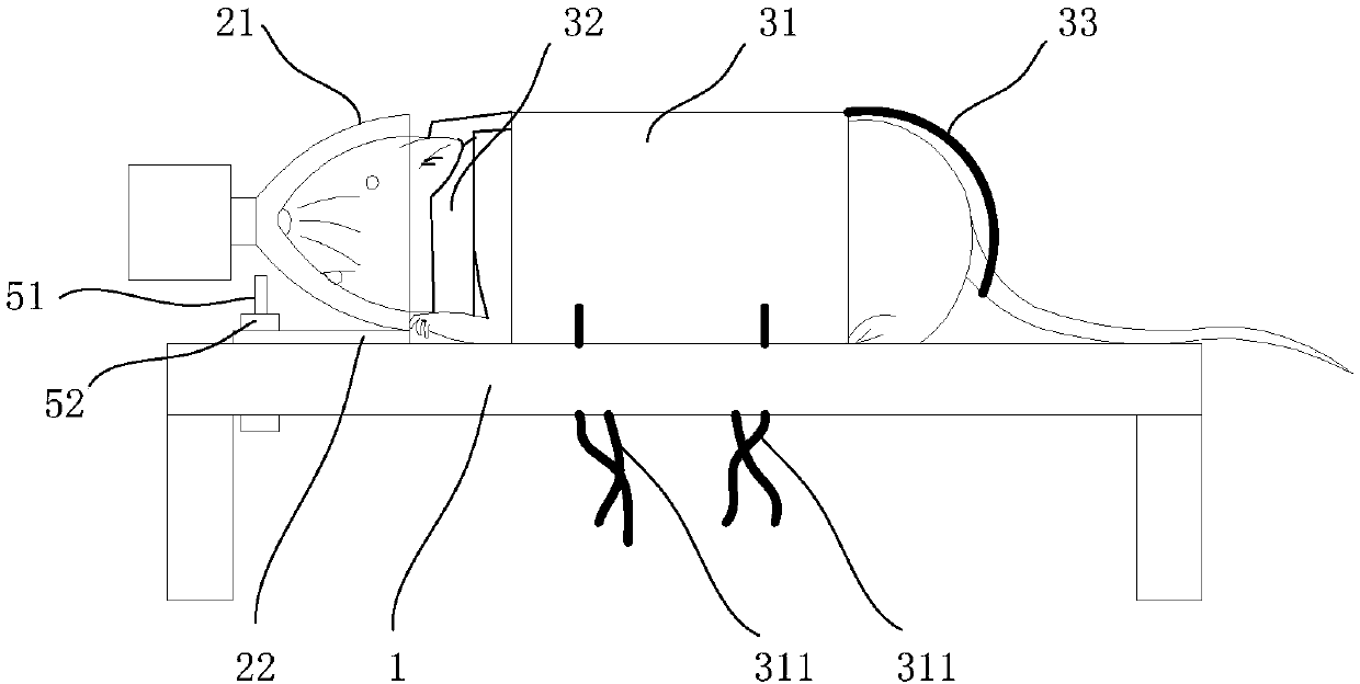 Rat fixing device and atomizing experiment equipment