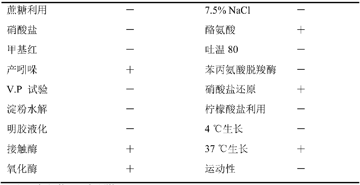 Method for screening algal toxin degrading bacterium from viscera of hemibarbus maculatus in Lake Taihu